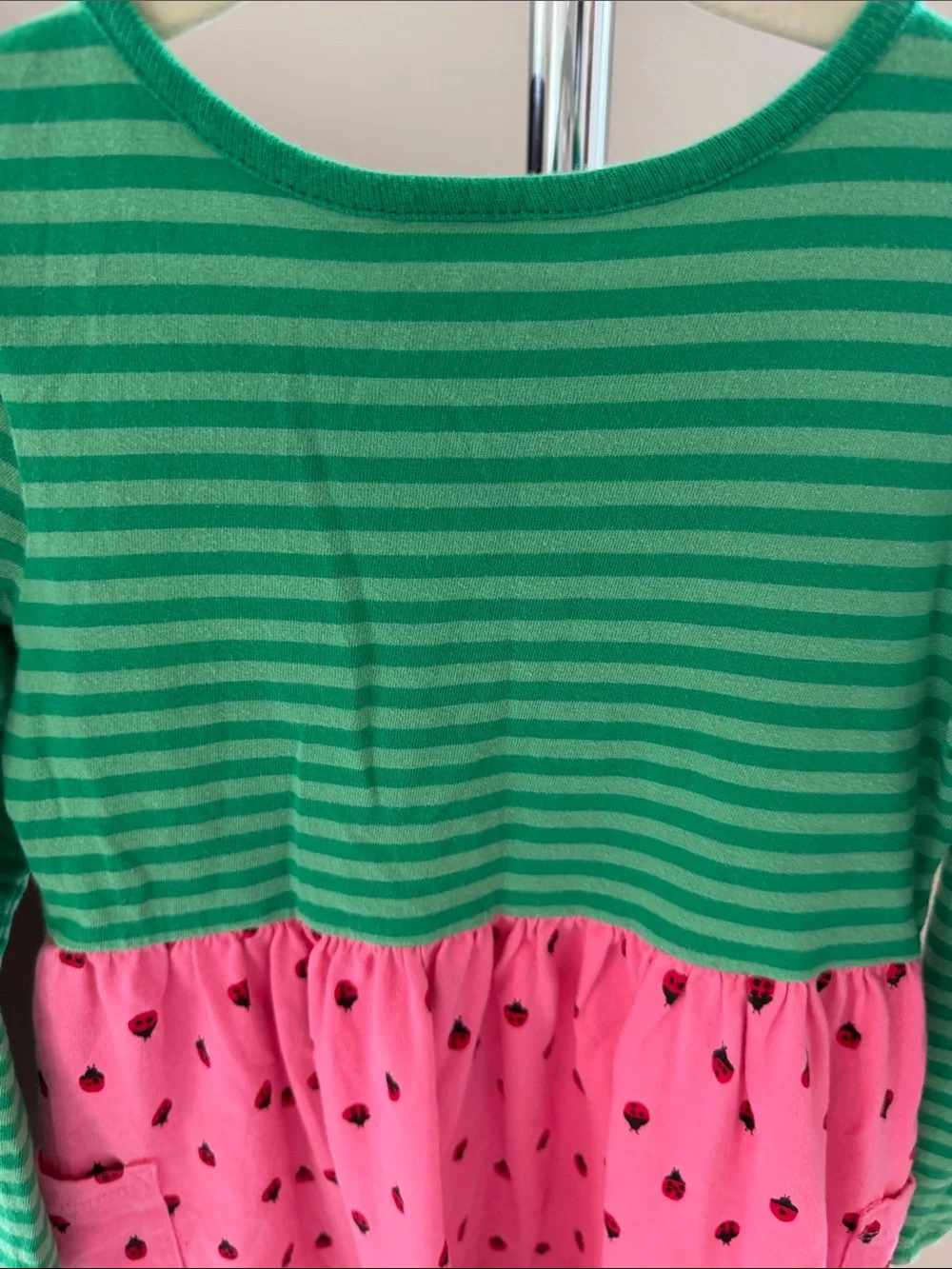 Green & Pink Long-Sleeve Kids Dress with Ladybug Print